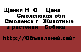 Щенки Н. О. › Цена ­ 10 000 - Смоленская обл., Смоленск г. Животные и растения » Собаки   